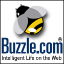 Review of Buzzle.com