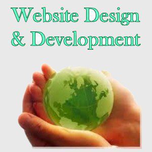 Website Design and Development