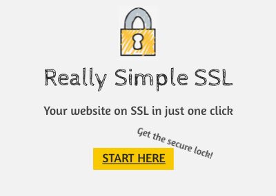 Really Simple SSL Pro