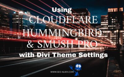 Cloudflare, Hummingbird and Smush Pro Settings Using Divi Theme