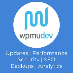 Updates, Performance, Security, SEO, Backups, Analytics