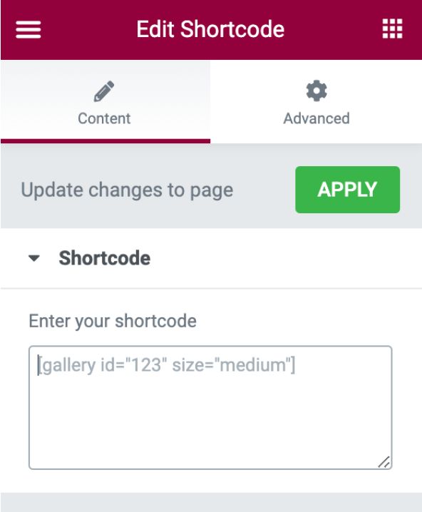 Elementor Ninja Form shortcode Elementor Ninja Form shortcode