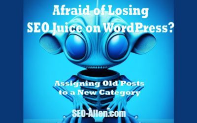 WordPress: Assign Old Posts to New Category without Losing SEO Juice.